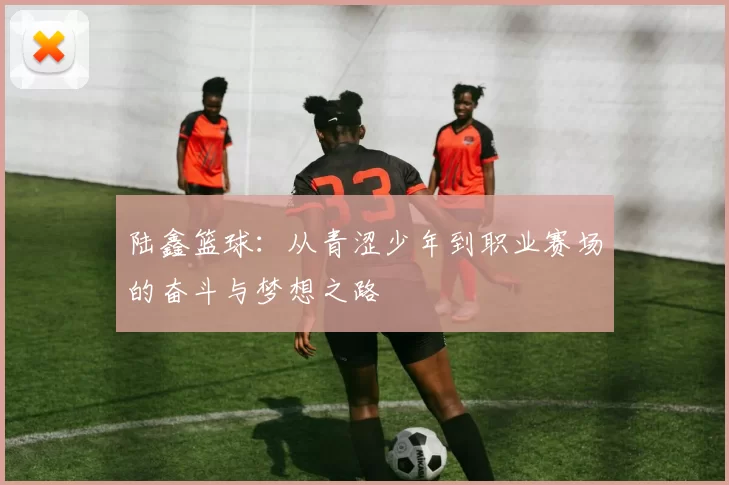 陆鑫篮球：从青涩少年到职业赛场的奋斗与梦想之路