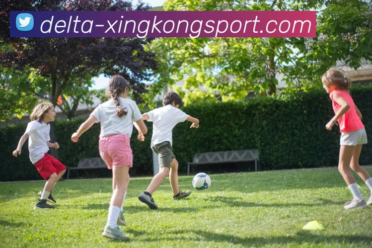 星空体育发展历程